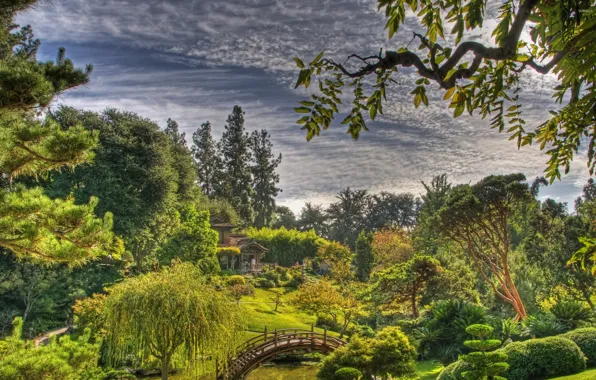 Picture the sky, clouds, trees, the bridge, Japanese garden, japanese garden