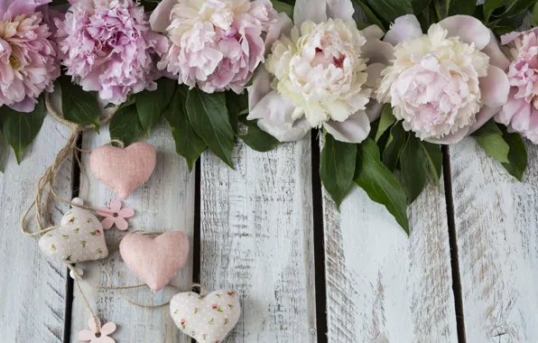 Picture flowers, hearts, peonies, composition