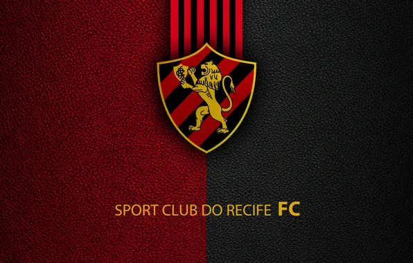 HD sport recife wallpapers