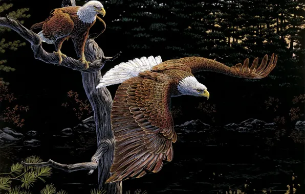 Forest, birds, tree, art, the eagles, Al Agnew