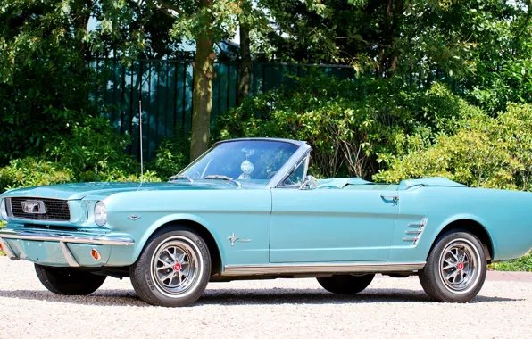 Mustang, Ford, Machine, Ford, Desktop, Mustang, Car, Car