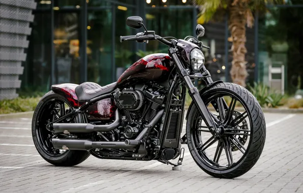 Sake, Tuning, Harley-Davidson, burning, customized, 114, Thunderbike, softial