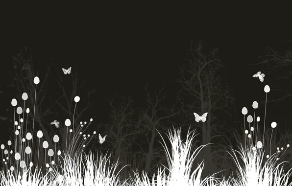 Flowers, Night, Butterfly, Meadow