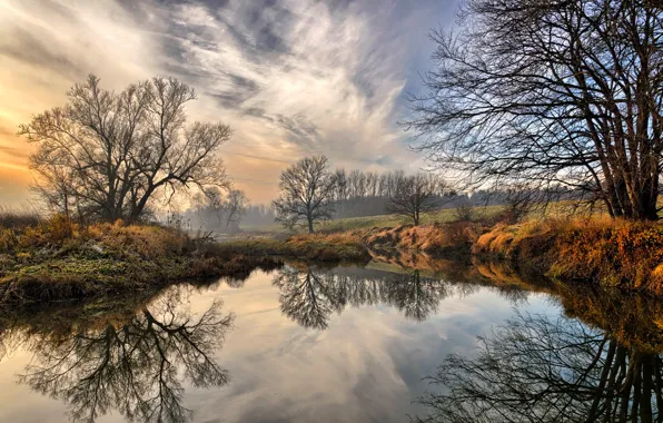 Autumn, the sky, clouds, trees, landscape, reflection, river, the bushes