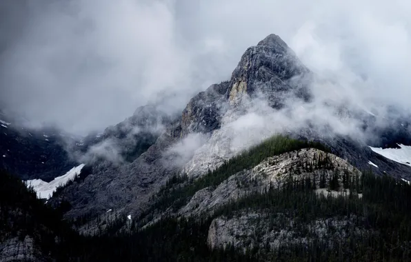 The sky, trees, mountains, nature, fog, rocks, Canada, Canada