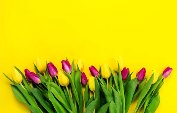 Picture flowers, bouquet, yellow, colorful, tulips, fresh, yellow, flowers