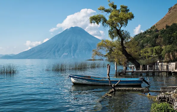 Tree, boat, Guatemala, Guatemala, lake Atitlan, Volcan Atitlan, Lake Atitlan