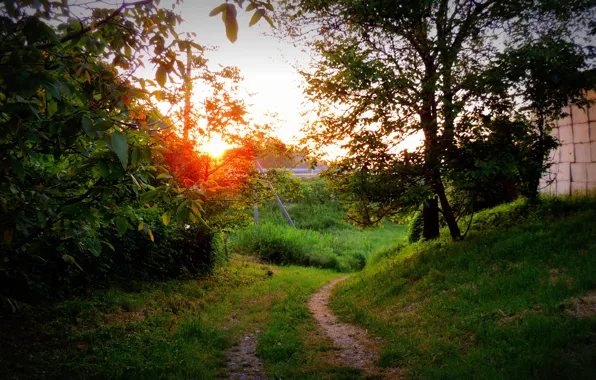 Road, forest, summer, the sky, grass, the sun, sunset, heat