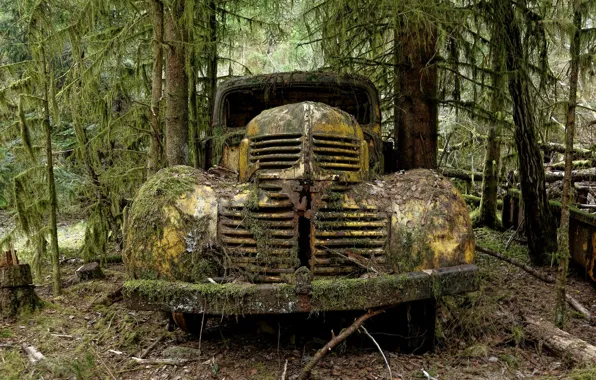 Picture machine, background, scrap