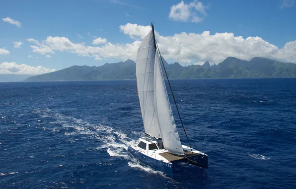 Sea, the way, movement, the wind, romance, sails, walk, catamaran