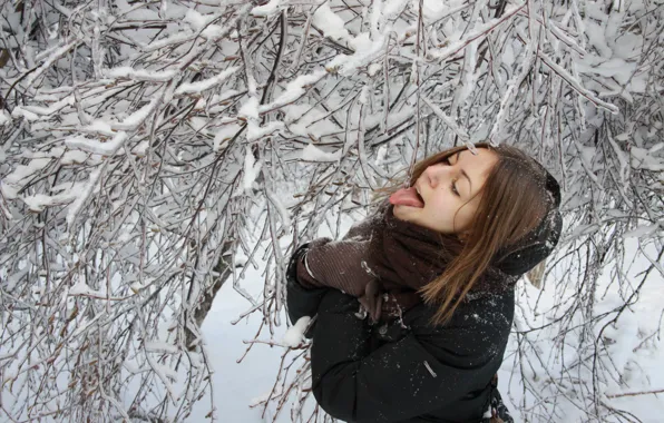Picture winter, language, girl, mood, icicle, licking