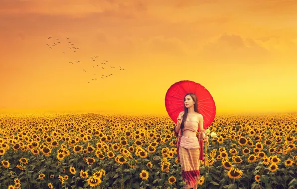 Summer, one, red umbrella, cute, a flock of birds, asian girl, field of sunflowers, asian …