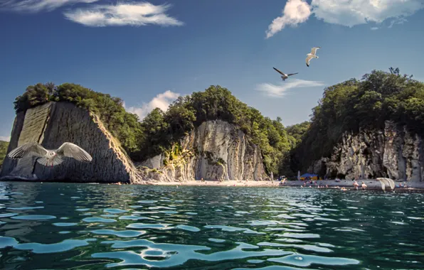 Picture sea, beach, landscape, birds, nature, rocks, seagulls