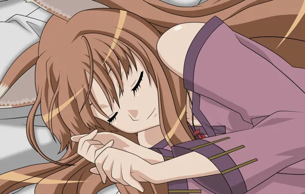 Horo, Spice and Wolf, Spice and wolf, Horo