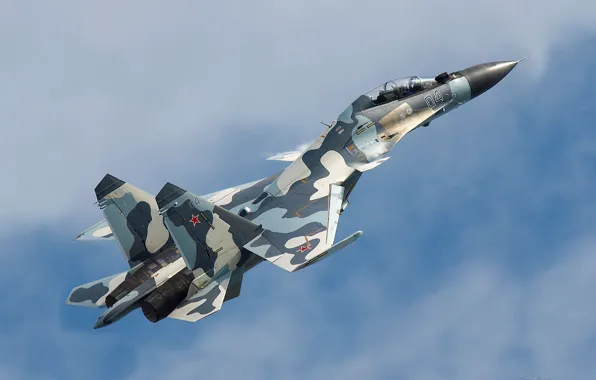 Picture Flanker-C, strike aircraft, double multi-purpose fighter, SU-30MK