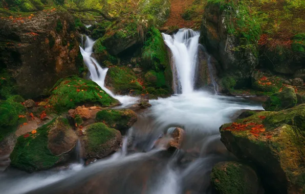 Stream, stones, moss, river, waterfalls, cascade