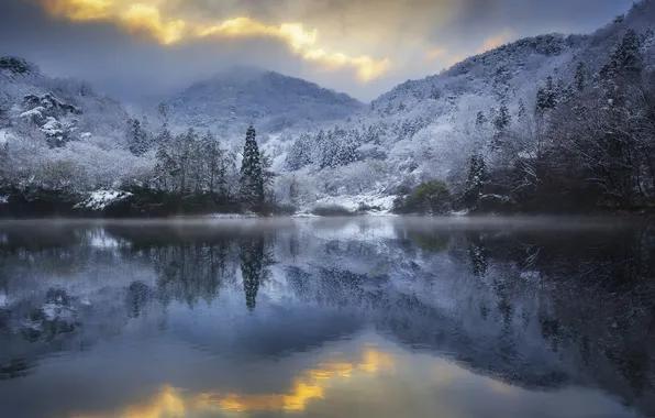 Winter, frost, trees, lake