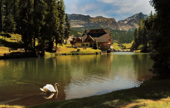 Forest, trees, mountains, lake, house, pond, bird, shore
