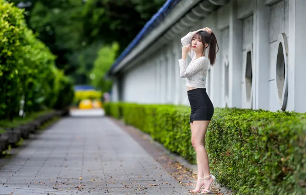 Picture look, leaves, trees, pose, model, skirt, portrait, makeup