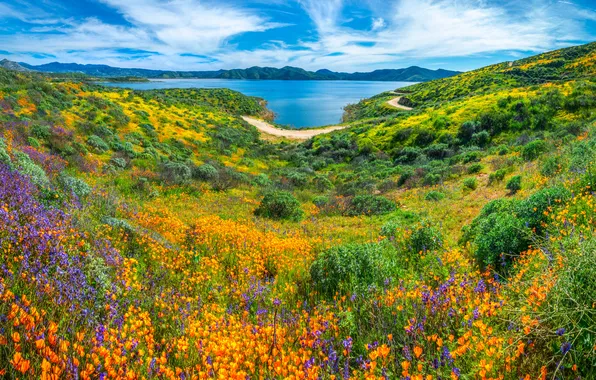 Lake, Maki, USA, Landscape, Diamond, Valley, Lake