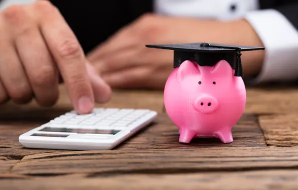 Calculator, savings, piggy bank