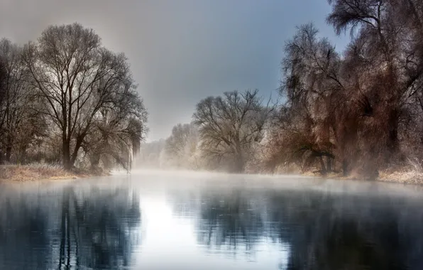Picture winter, frost, trees, landscape, nature, fog, reflection, river