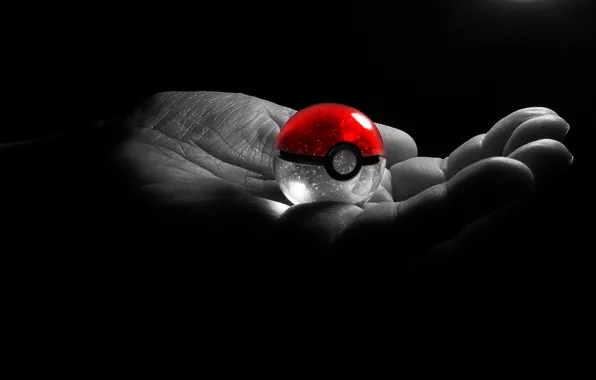 Picture ball, Hand, pokeball