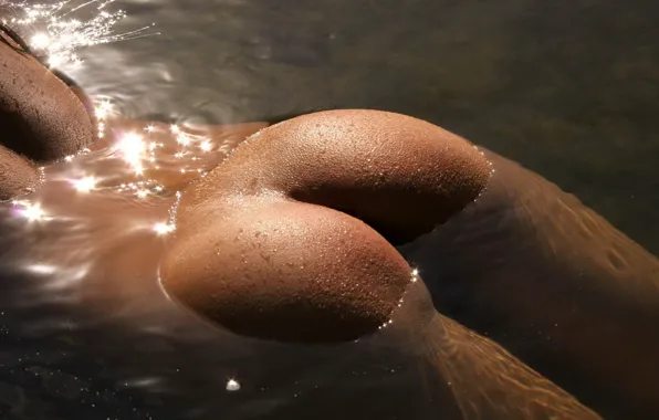 Sun, Water, Hair, Drops, Ass. Wet. Pond, Mica