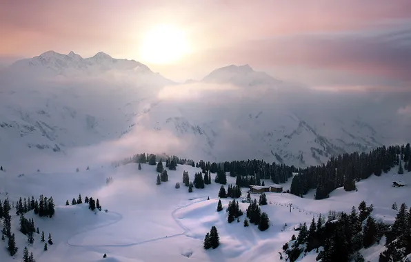Winter, road, field, forest, the sky, the sun, light, snow