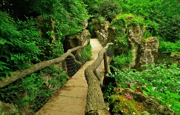Greens, leaves, branches, bridge, pond, stones, France, Paris