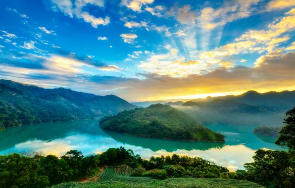 Fog, river, dawn, hills, view, morning, turn