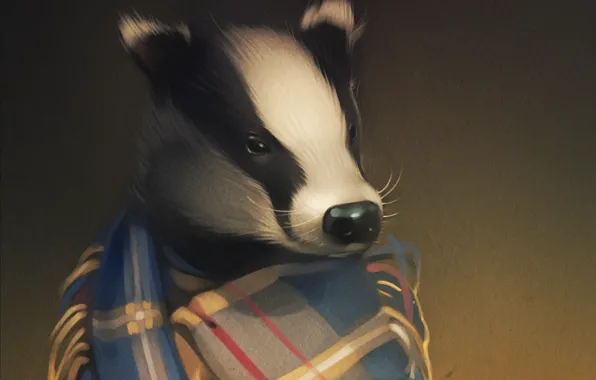 Picture look, plaid, art, badger