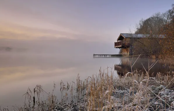 Trees, fog, lake, the reeds, shore, pier, house, frost