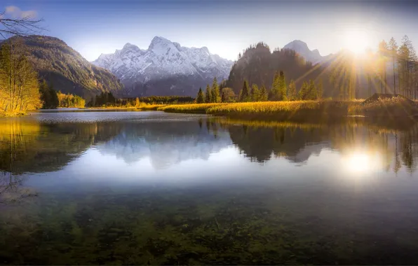 Autumn, forest, water, the sun, rays, light, trees, sunset