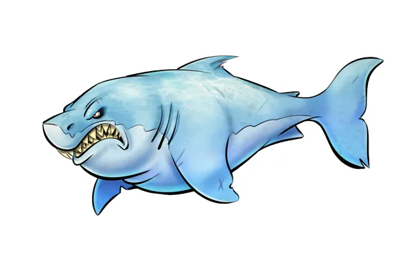 Picture fish, shark, light background, shark, toothy