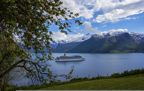 Mountains, tree, Sweden, liner, Sweden, the fjord, Costa Fortuna