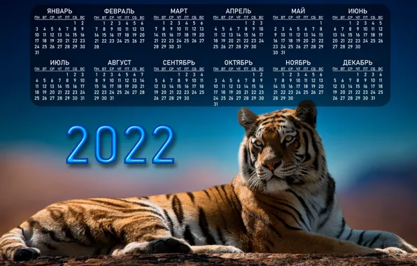 Picture Tiger, Calendar, Animal, Big cat, 2022, Year of the Tiger