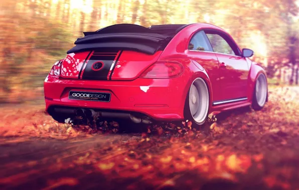 Picture autumn, forest, leaves, red, the wind, foliage, speed, beetle