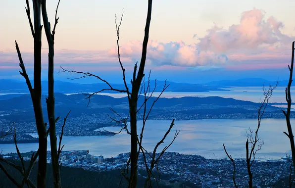 Picture the evening, Australia, Bay, Wellington