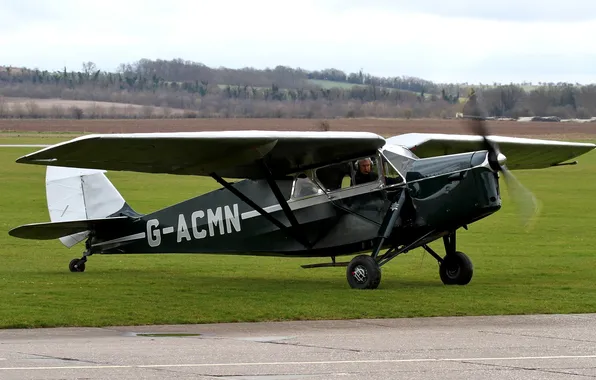 The plane, easy, British, multipurpose, DH.85, Leopard Moth