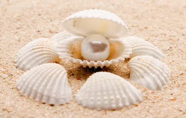 Sand, sea, nature, sea, nature, pearl, sand, pearl