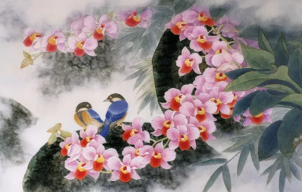 Flowers, style, beauty, Birds, art, orchids, Chinese