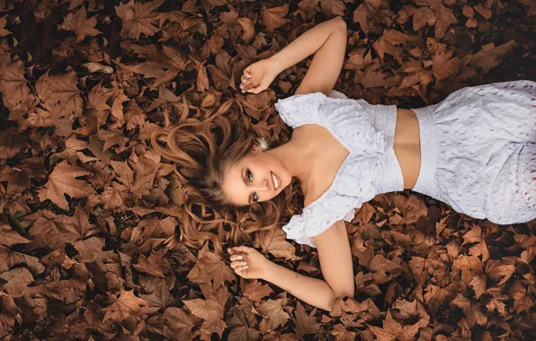Picture autumn, leaves, model
