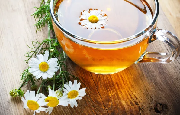 Picture flowers, background, Wallpaper, tea, mood, Daisy, mug, Cup