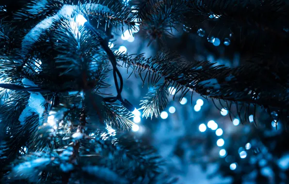 Picture tree, new year, garland, bokeh
