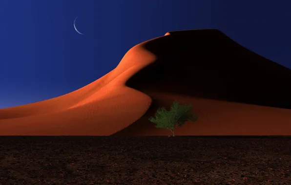 Sand, night, tree, the moon, desert, dunes, digital, respite