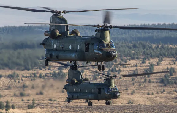 IAF Garud - Ch-47 (I) Chinook from 126 HU 