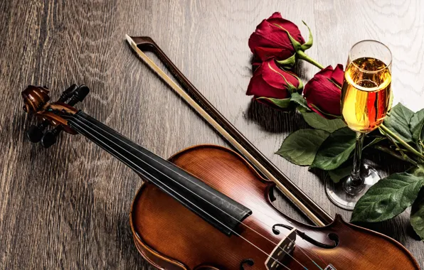 Flowers, wine, violin, glass, roses