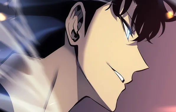 Picture smile, guy, Sung Jin-Woo, Solo Leveling, Raising the level alone