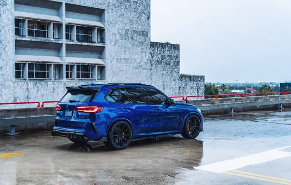 Picture Blue, Rear view, X5M, F95